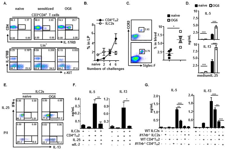 FIG 4