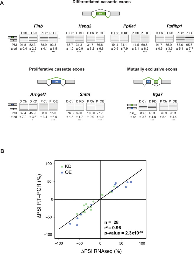 Figure 2—figure supplement 3.