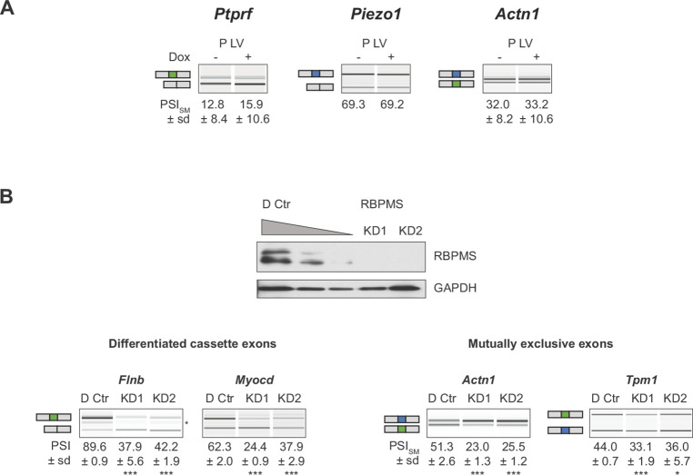 Figure 2—figure supplement 2.