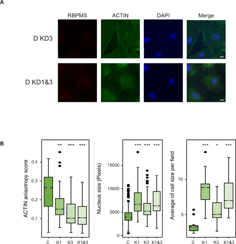 Figure 5—figure supplement 2.