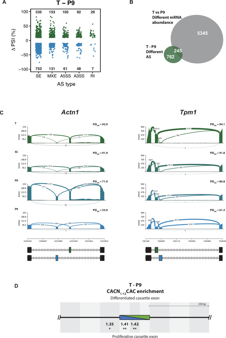 Figure 1—figure supplement 3.