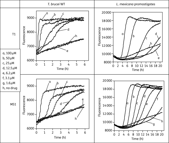 Figure 3.