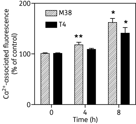 Figure 10.