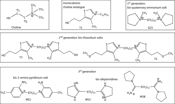 Figure 1.