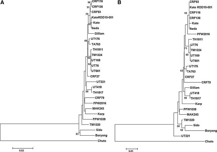 FIG. 2.