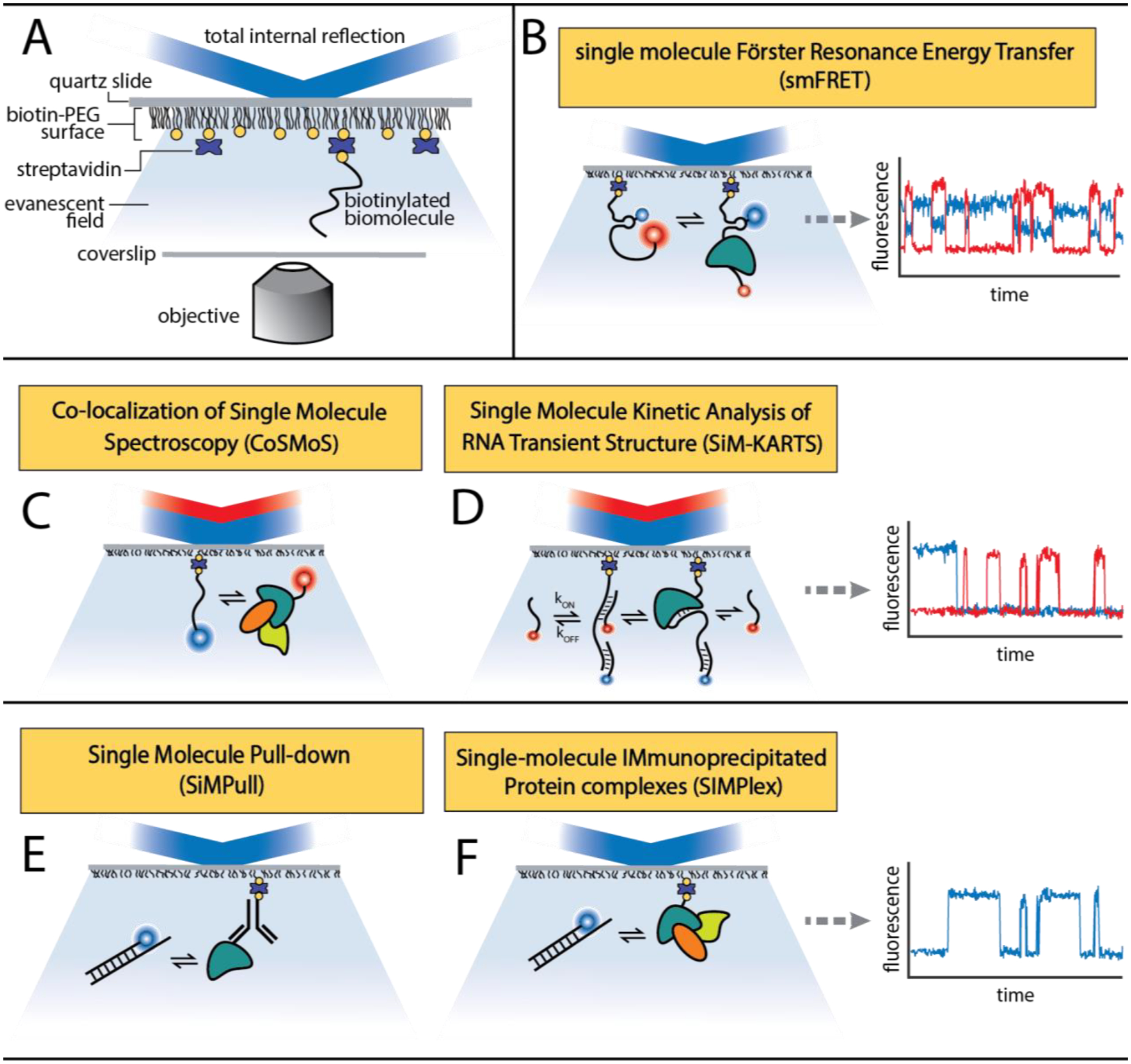 Figure 2: