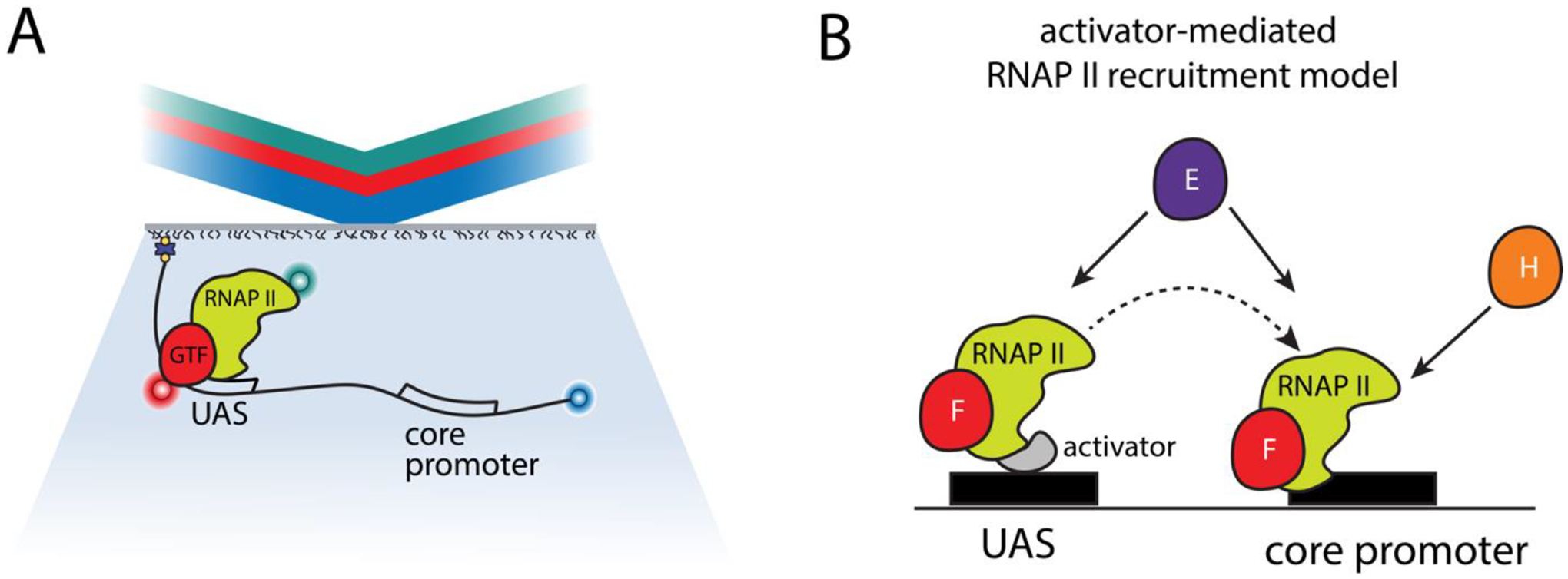 Figure 4: