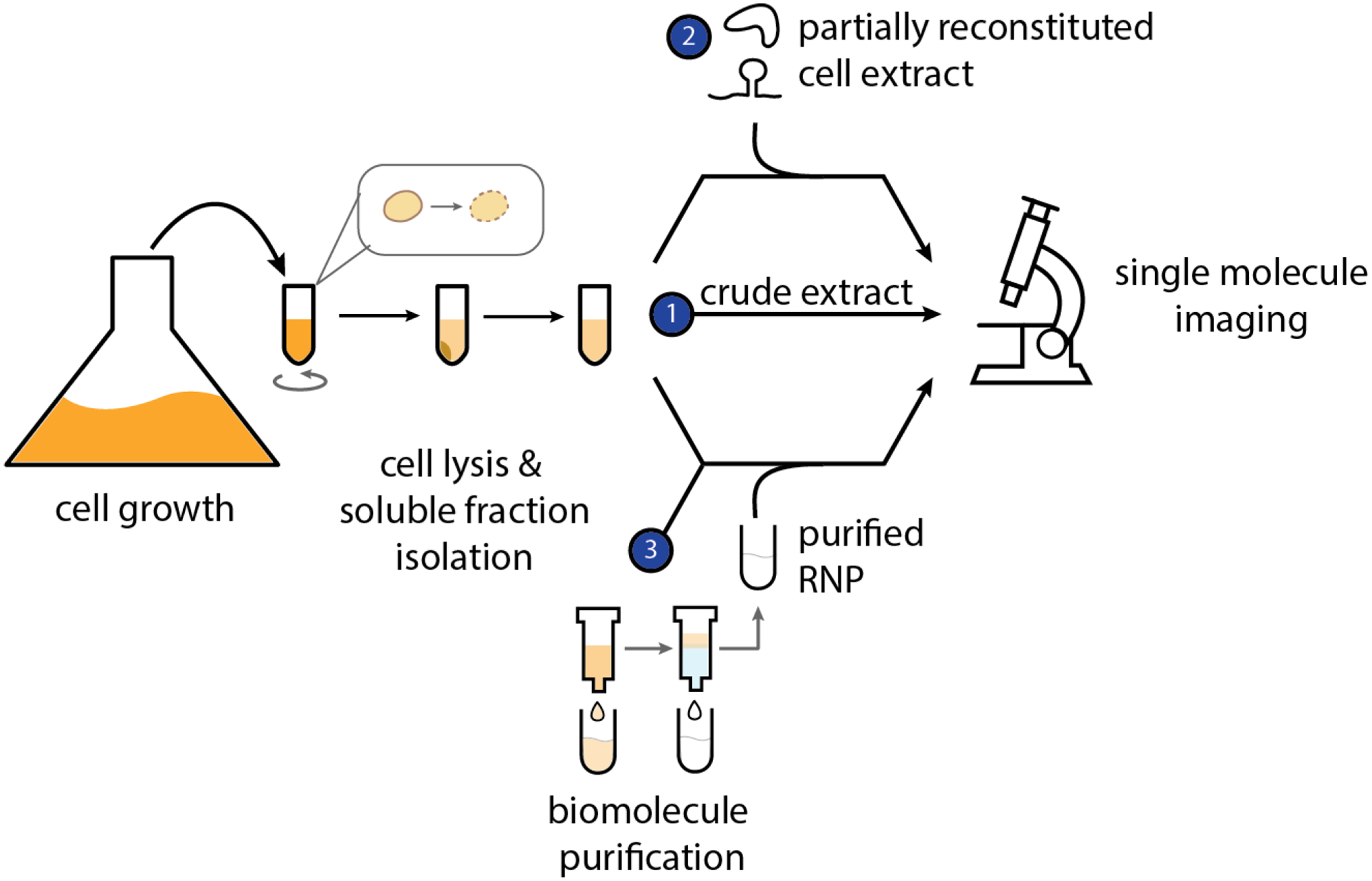 Figure 1: