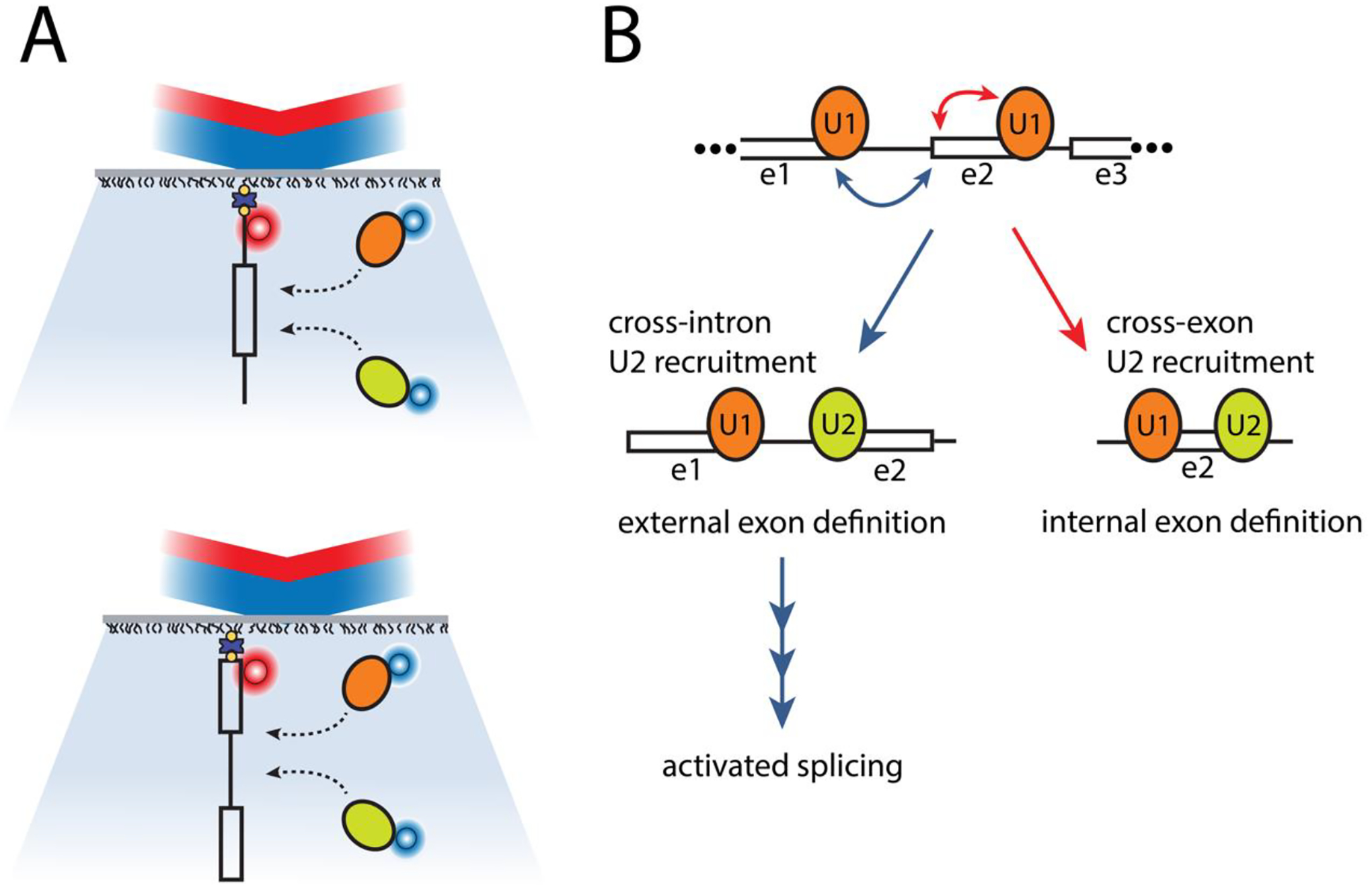 Figure 3: