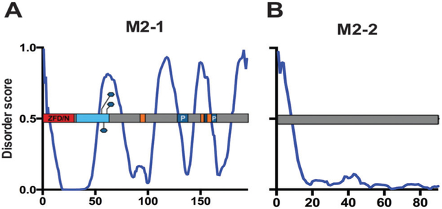 Fig. 12