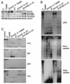 FIG. 7.