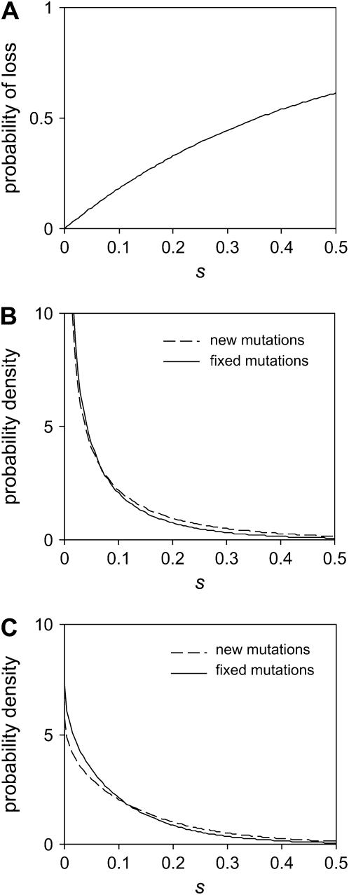 Figure 3.—