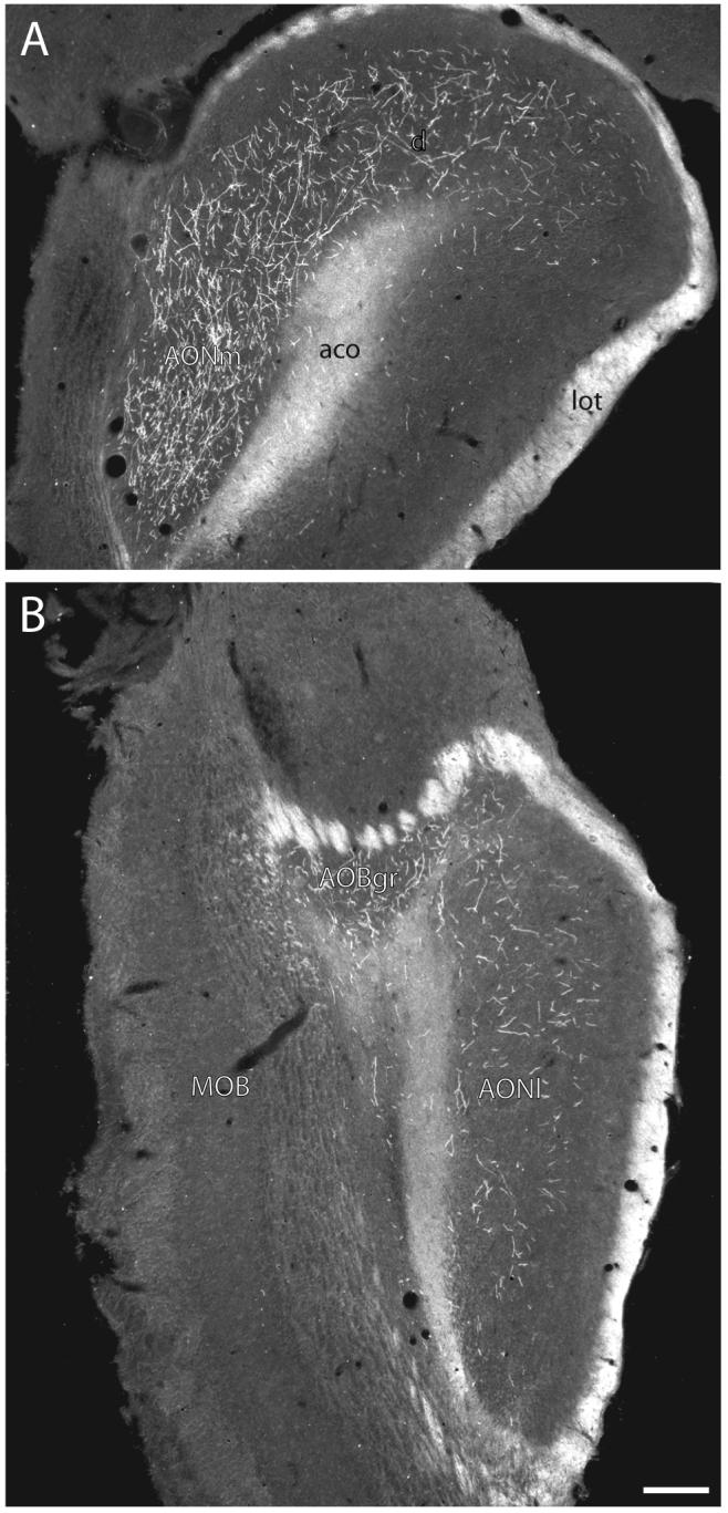 Fig. 16