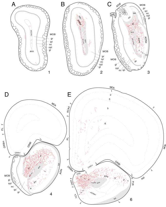 Fig. 15