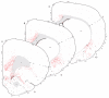 Fig. 12