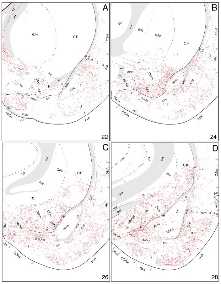 Fig. 14