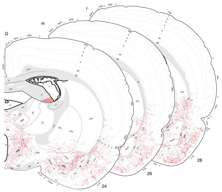 Fig. 12