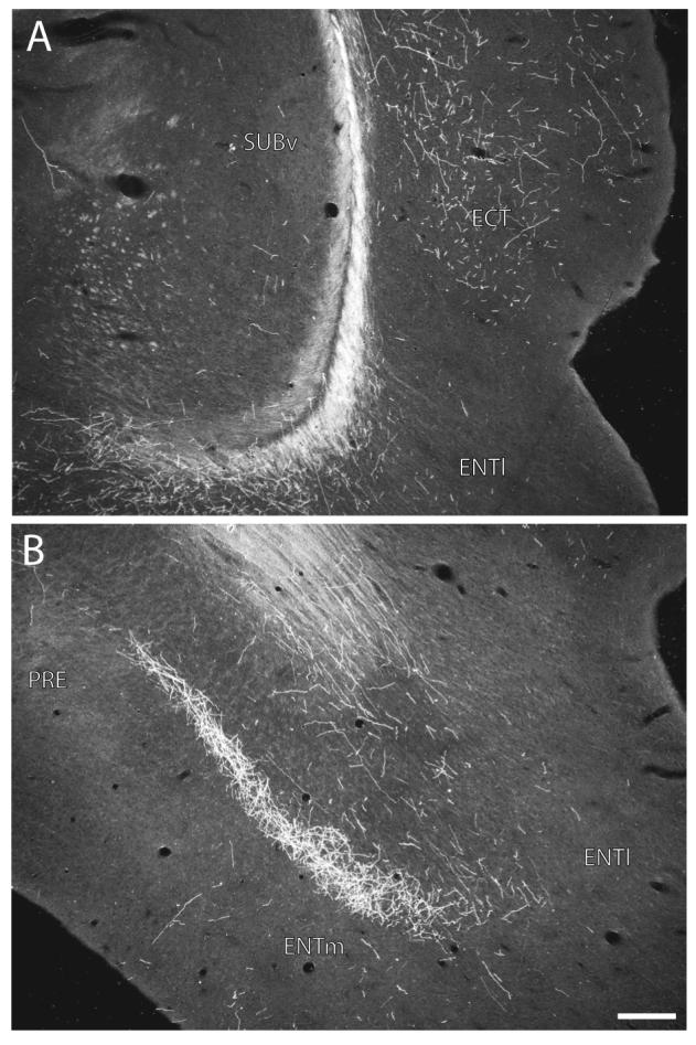 Fig. 11