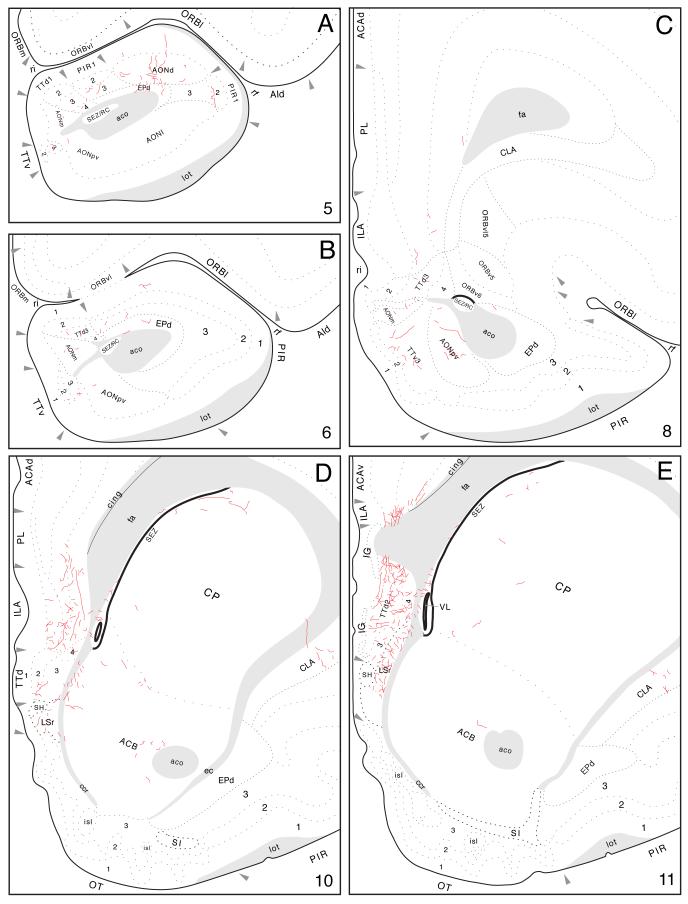 Fig. 9