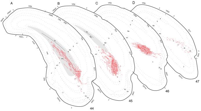 Fig. 6