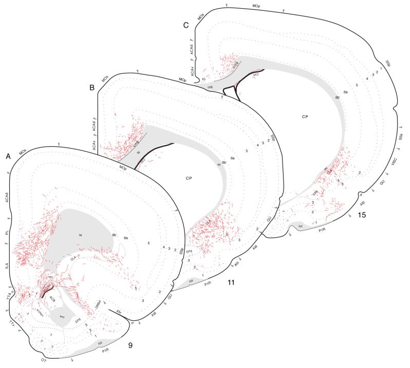 Fig. 12