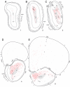 Fig. 15