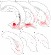 Fig. 10
