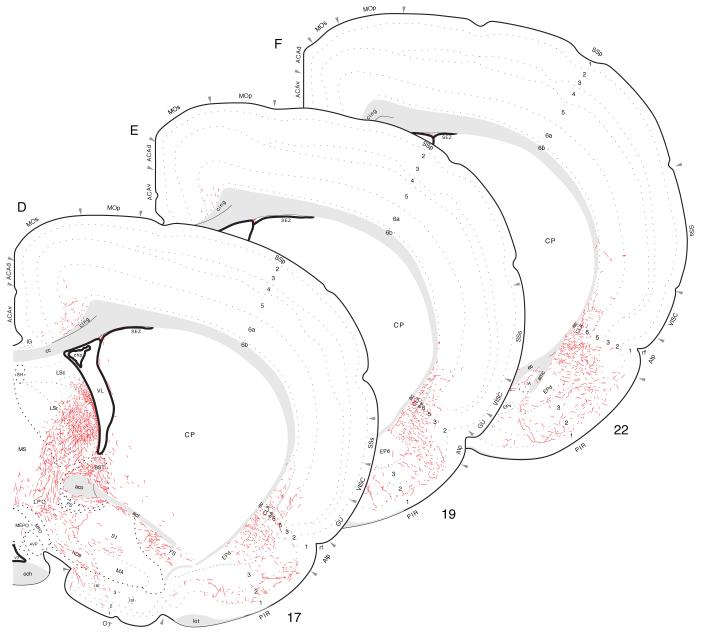 Fig. 12