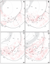 Fig. 14