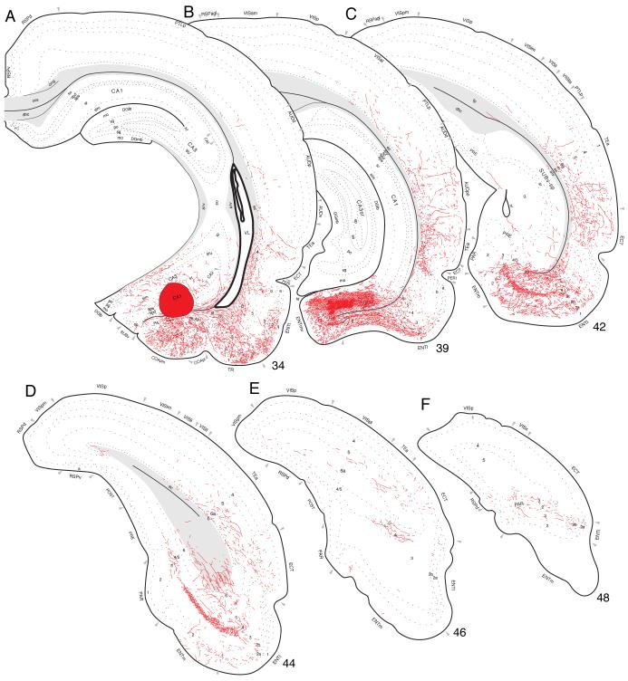 Fig. 10