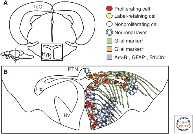 Figure 3.