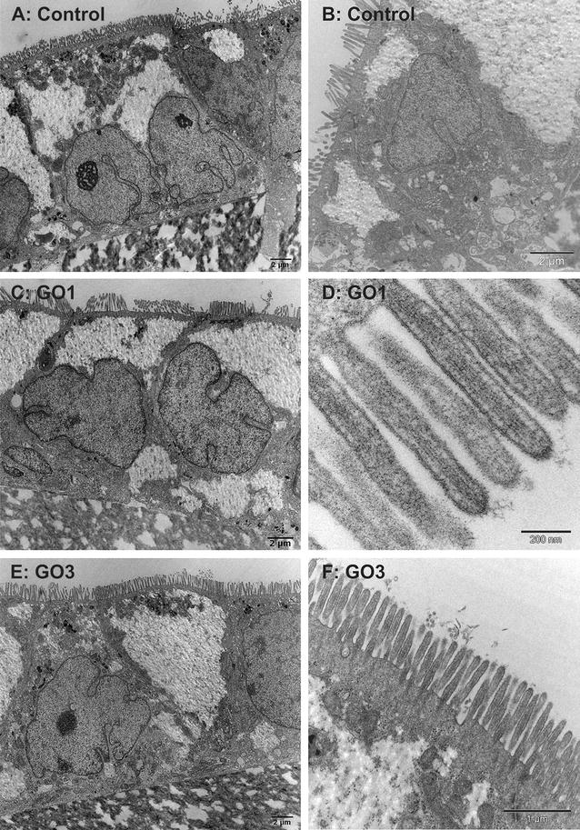 Fig. 8