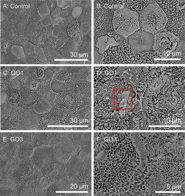 Fig. 7