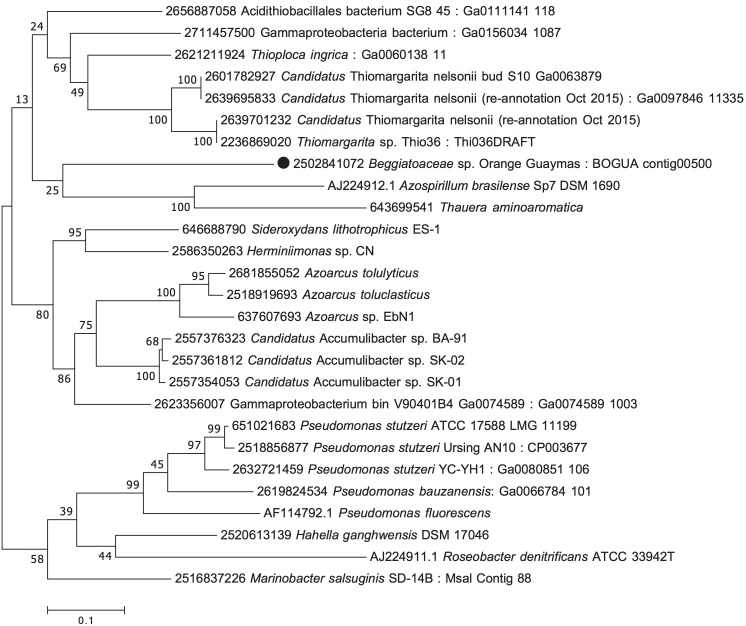 FIGURE 4