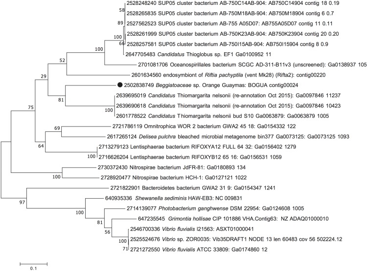 FIGURE 3