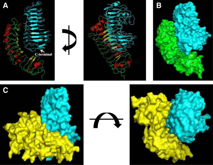 Fig. 2