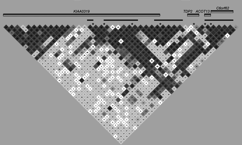 Fig. 2