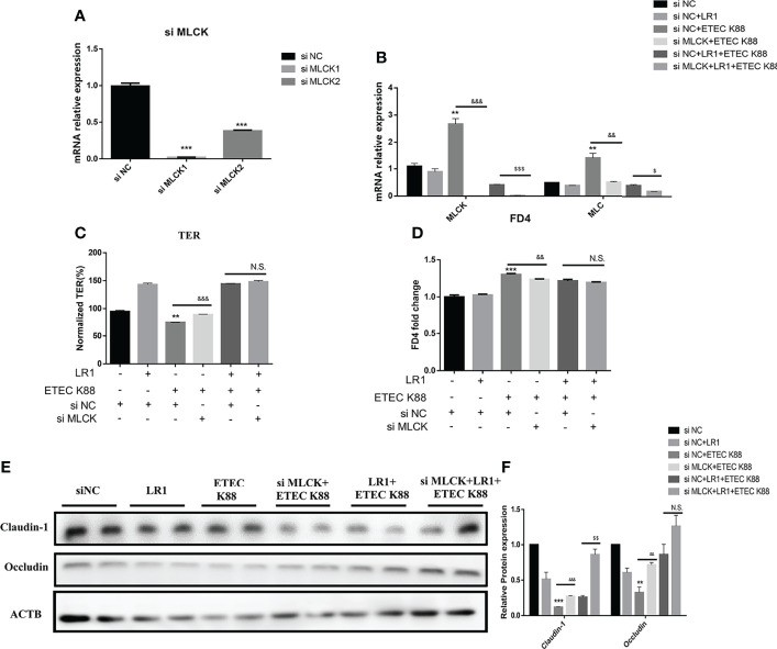 Figure 6