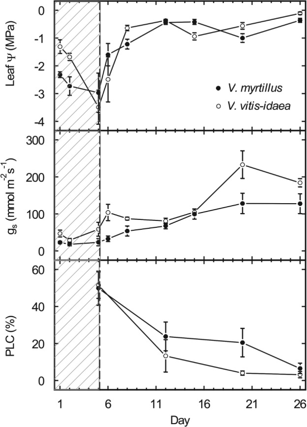 PPL-12333-FIG-0004-b