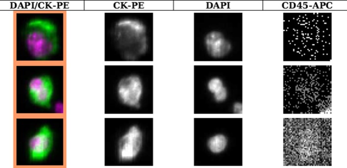 Fig. 1