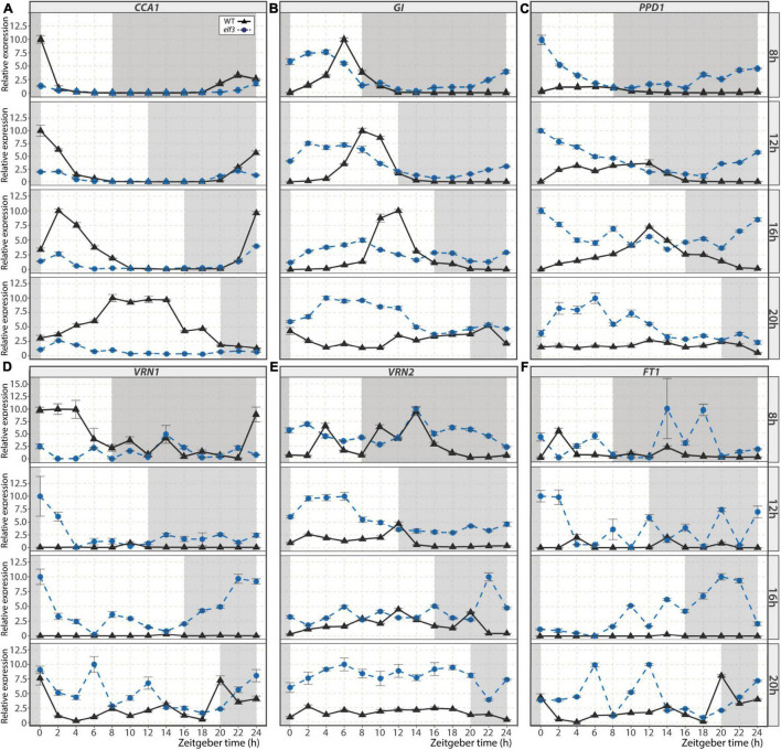 FIGURE 3