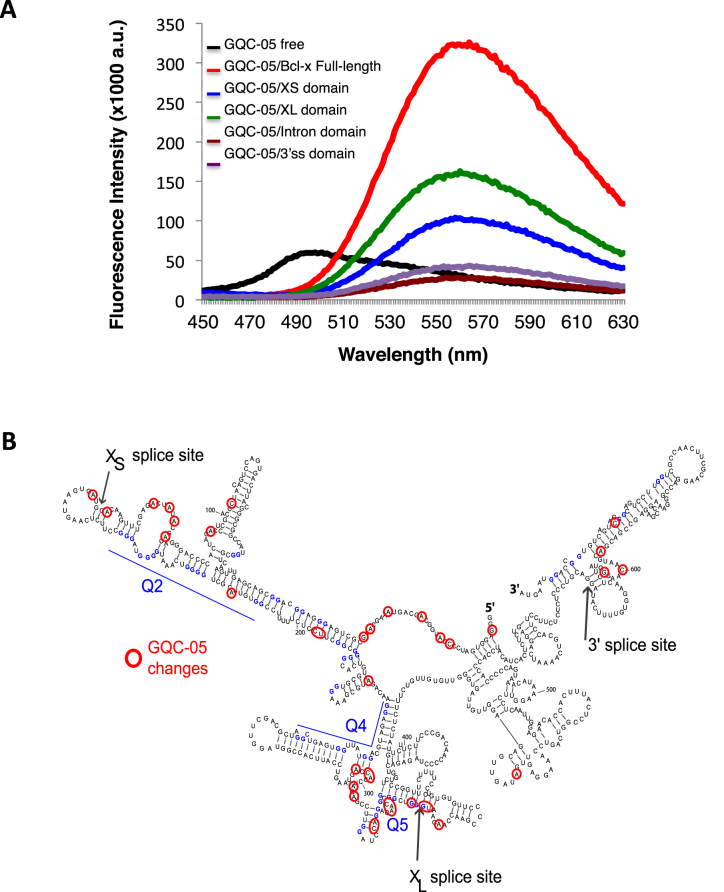 Figure 5.