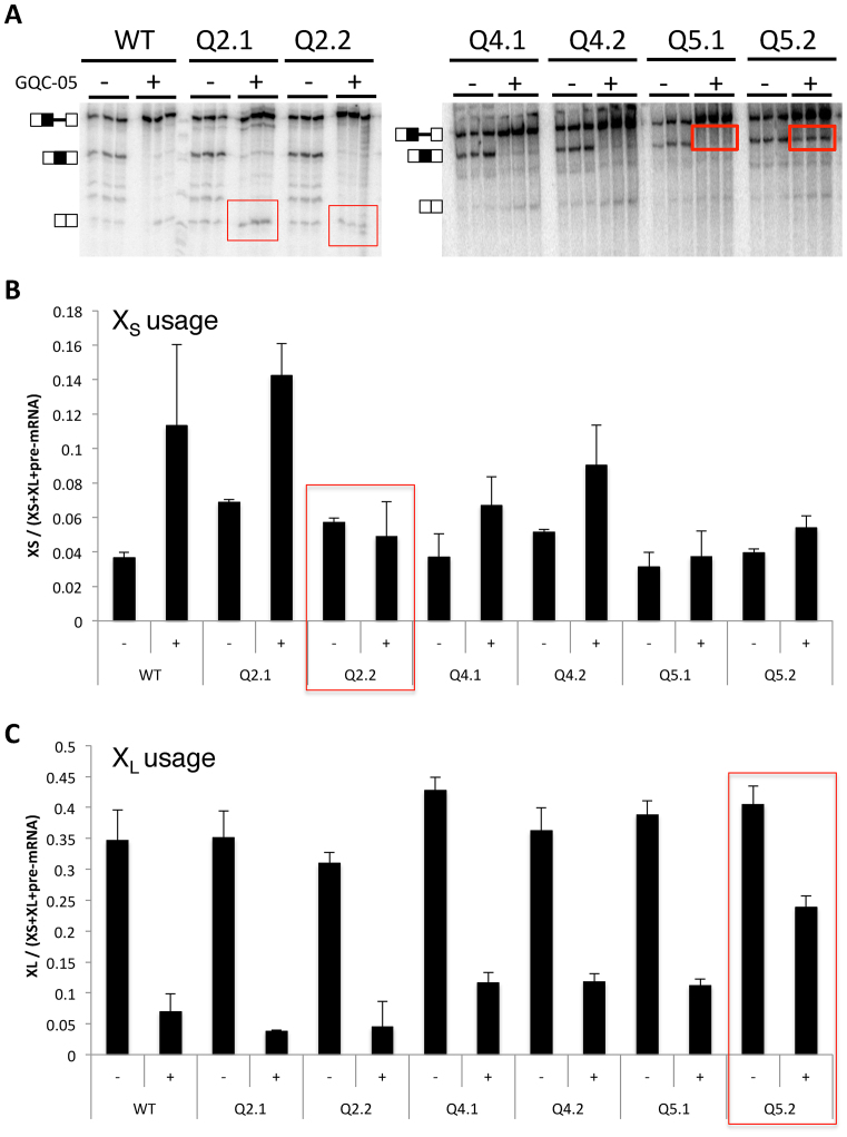 Figure 6.