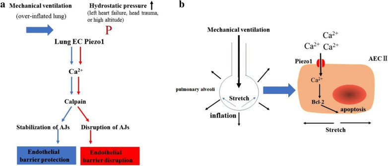 Fig. 11