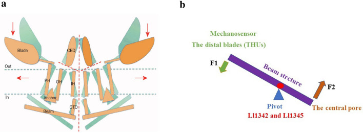 Fig. 4