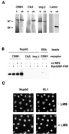 FIG. 8