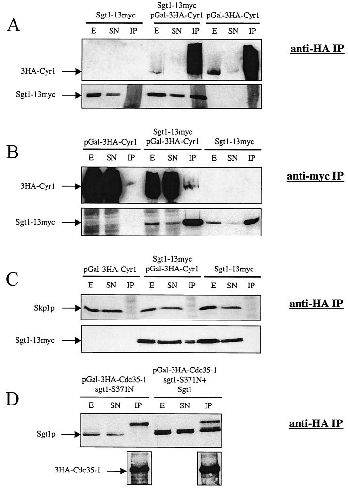 FIG. 3.