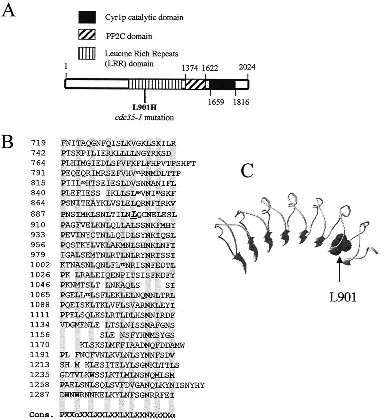 FIG. 2.