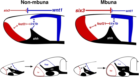 Fig. 4.