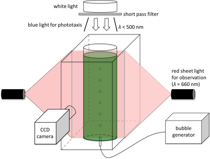 Fig. 10.